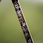 Catfish Pro 1 of 220 The Rattlesnake Casting Rod-Limited Edition 7'6"