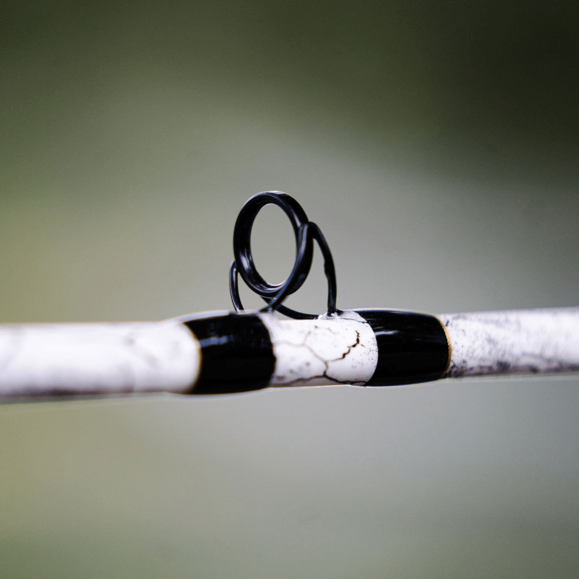 Catfish Pro Limited Edition The Testament of Time Spinning Rod 7'6"