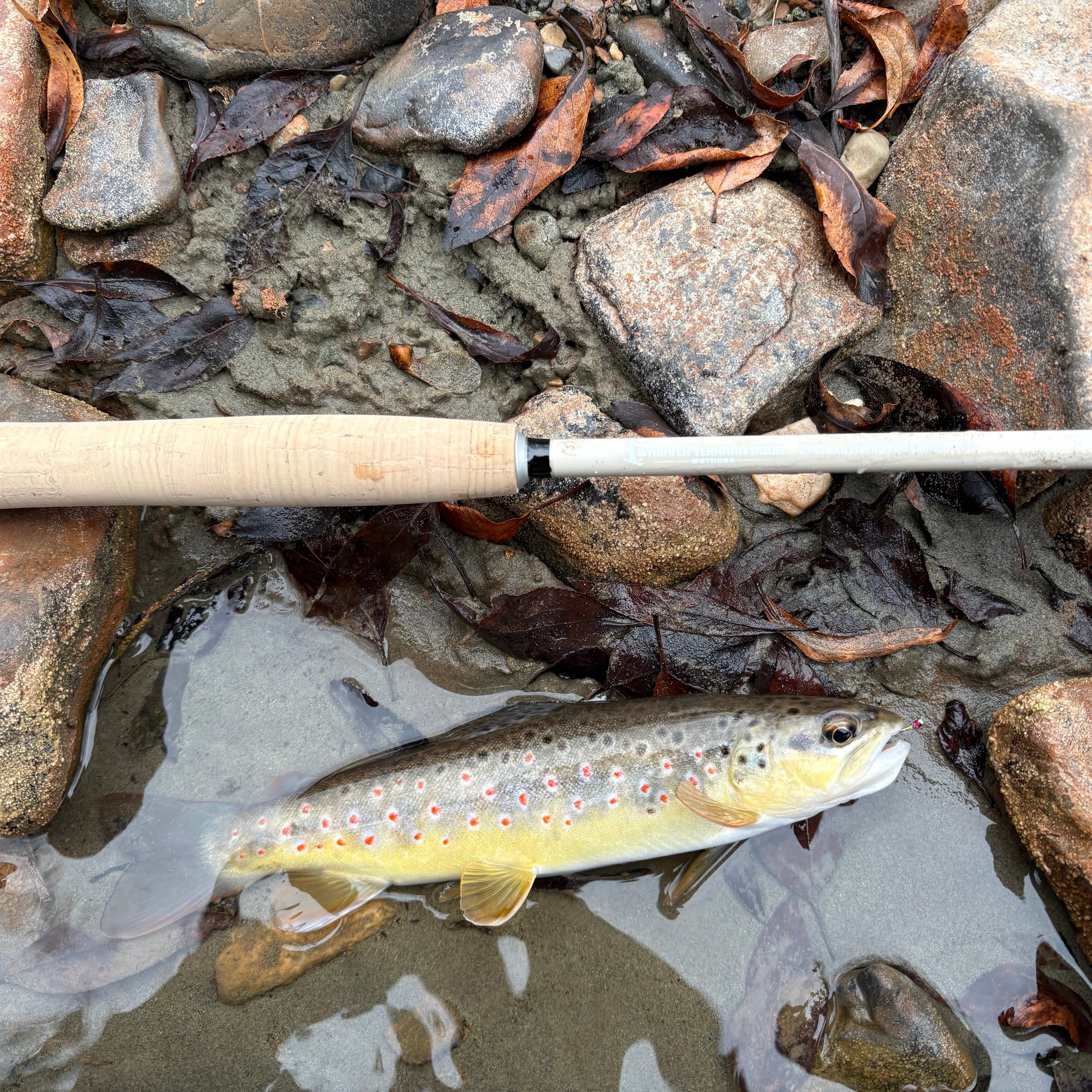 Wasatch MothRod 8'5" Tenkara Rod 1.9 oz Collapses 16in w/ Rod Tube
