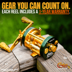 Catfish Pro 6800 CTS Baitcasting Reel 40lb Carbon Fiber Drag 8+1BB 5.3:1