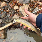 Wasatch MothRod 8'5" Tenkara Rod 1.9 oz Collapses 16in w/ Rod Tube