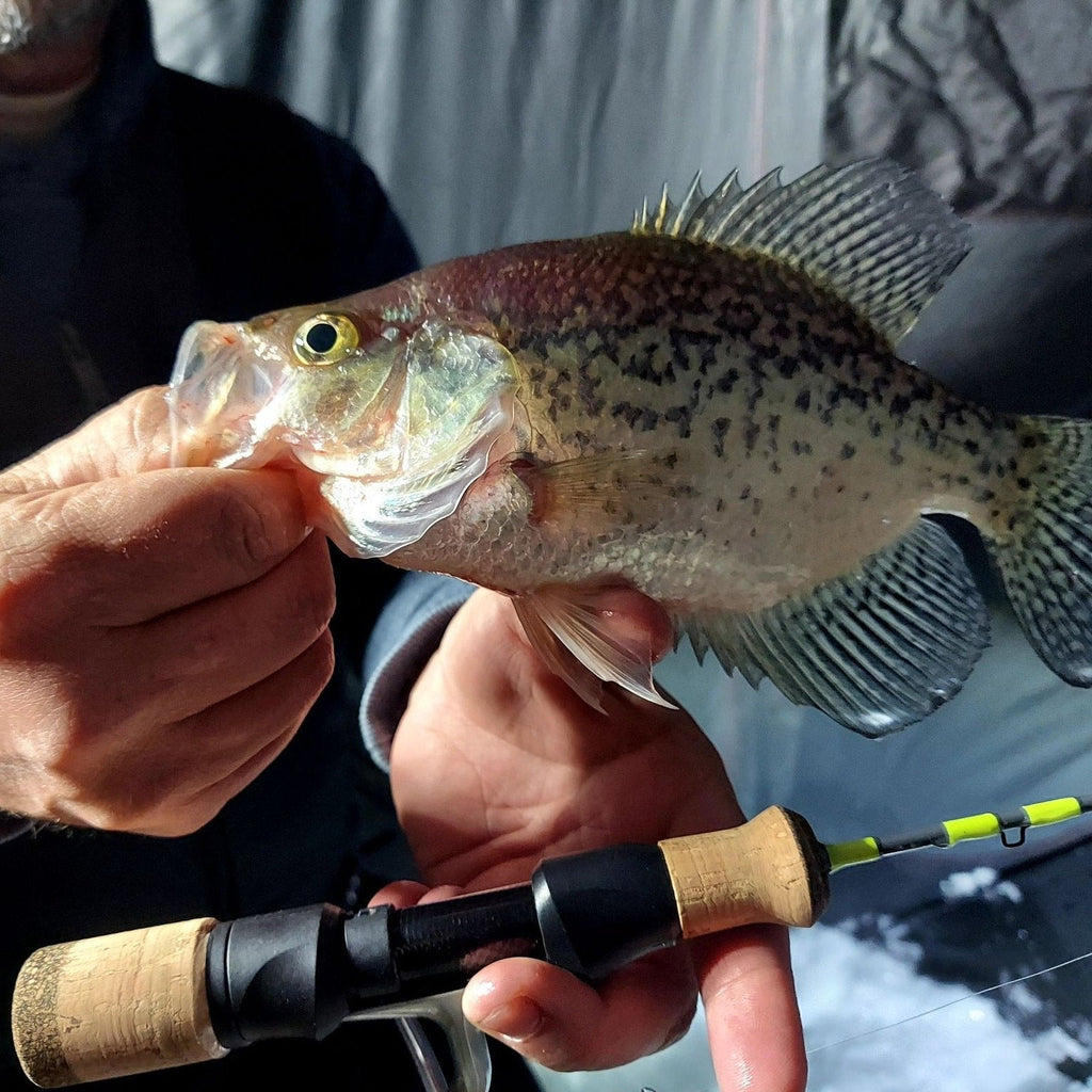 Wasatch Ice Breaker 22" Medium/Light Action Toray Carbon Fiber Tenkara Rod