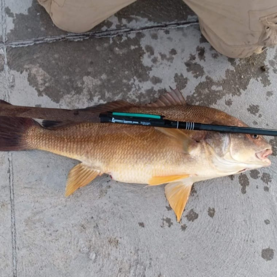 Wasatch RodZilla 16'-17'6" Double Zoom 8:2 Action Carbon Tenkara Rod w/ Rod Tube