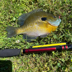 Wasatch Akai Samurai 11'-13' Tenkara Rod 3.8oz 6:4/7:3 Action w/ Rod Tube