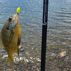 Wasatch Tenkara Command Force 6'6" Fast Action Carbon Telescopic Spinning Rod