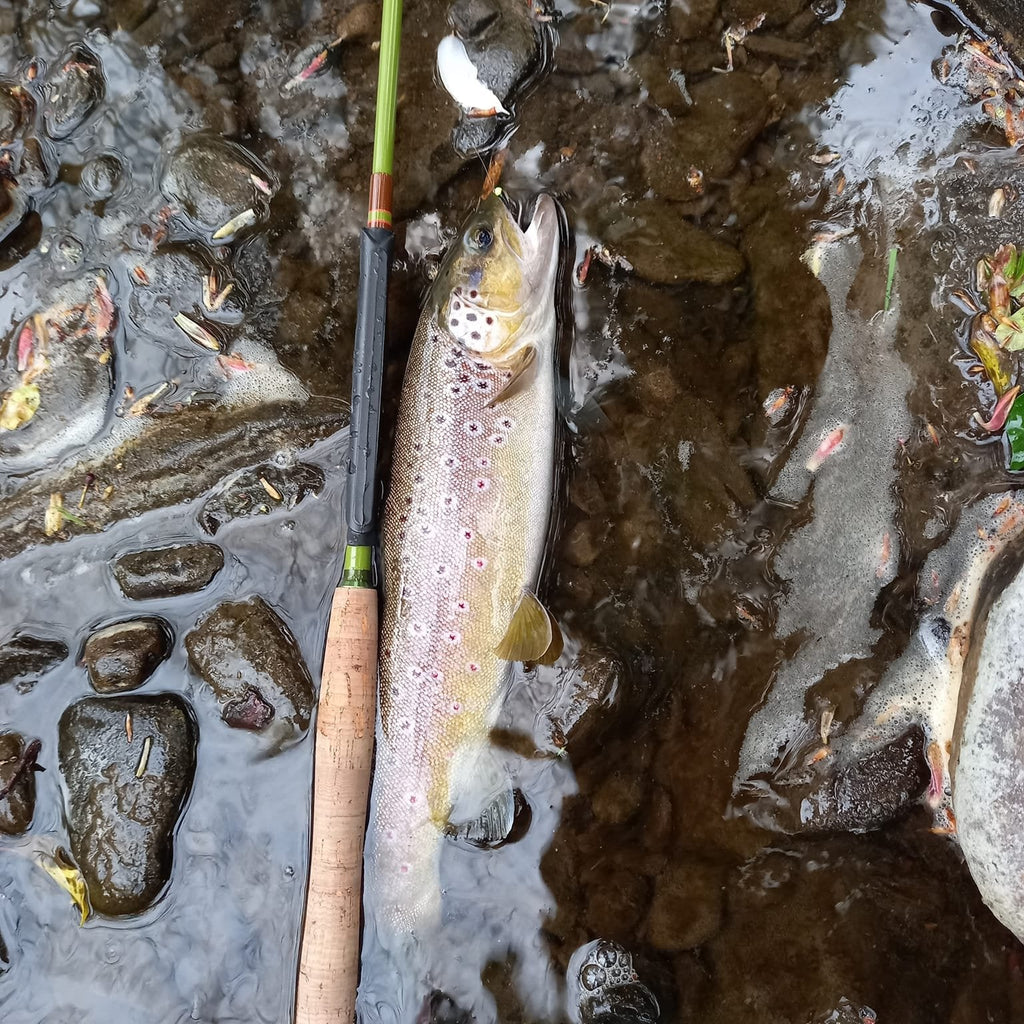 Wasatch Baby RodZilla Tenkara Rod 5:5 6:4 Action 2.7 oz Carbon Fiber w/ Rod Tube