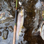 Wasatch Baby RodZilla Tenkara Rod 5:5 6:4 Action 2.7 oz Carbon Fiber w/ Rod Tube