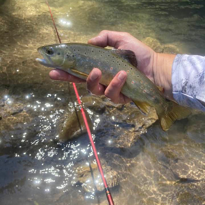 Wasatch Akai Samurai 11'-13' Tenkara Rod 3.8oz 6:4/7:3 Action w/ Rod Tube