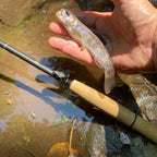 Wasatch Darth Quattro Tenkara Rod 5:5 6:4 Action 1.8 oz Carbon Fiber w/ Rod Tube