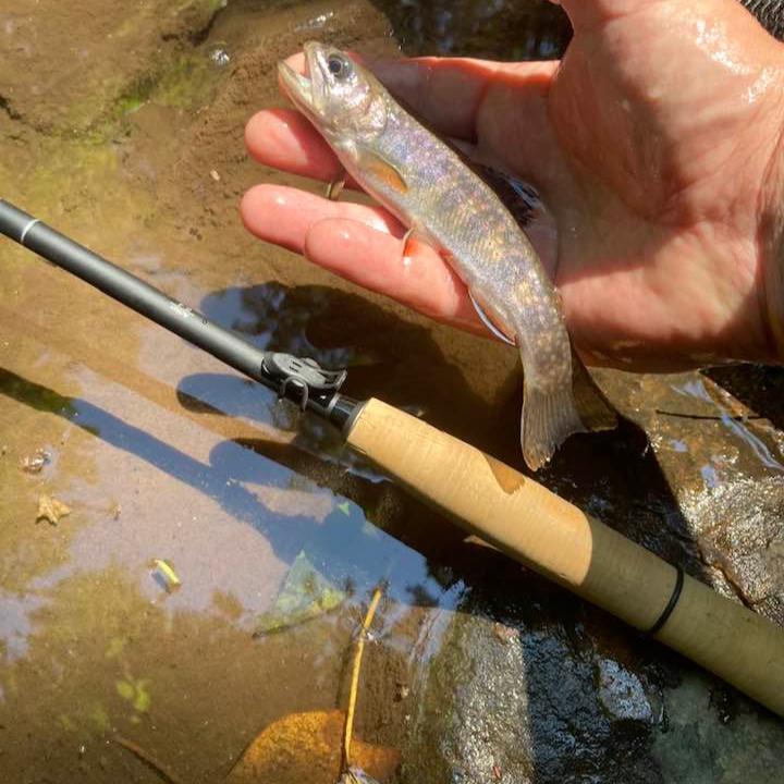 Wasatch Darth Quattro Tenkara Rod 5:5 6:4 Action 1.8 oz Carbon Fiber w/ Rod Tube