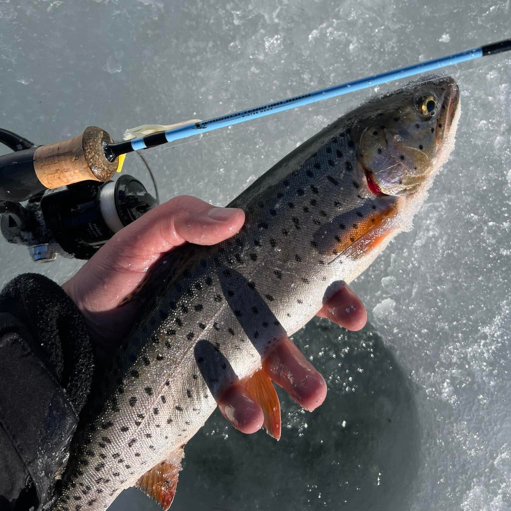 Wasatch Winterhawk 28" Medium Action Japanese Toray Carbon Ice Rod