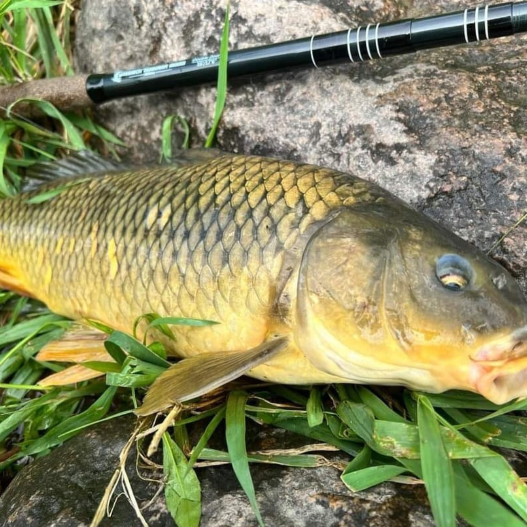 Wasatch RodZilla 16'-17'6" Double Zoom 8:2 Action Carbon Tenkara Rod w/ Rod Tube