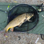 Wasatch Tenkara Command Force 6'6" Fast Action Carbon Telescopic Spinning Rod