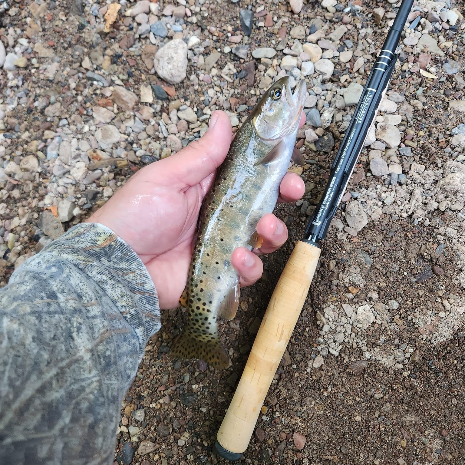 Wasatch Darth Quattro Tenkara Rod 5:5 6:4 Action 1.8 oz Carbon Fiber w/ Rod Tube