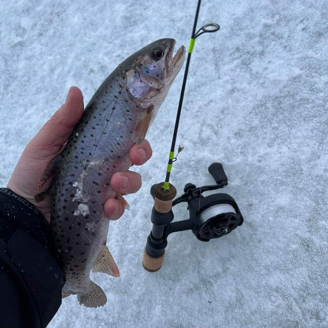 Wasatch Ice Breaker 22" Medium/Light Action Toray Carbon Fiber Tenkara Rod