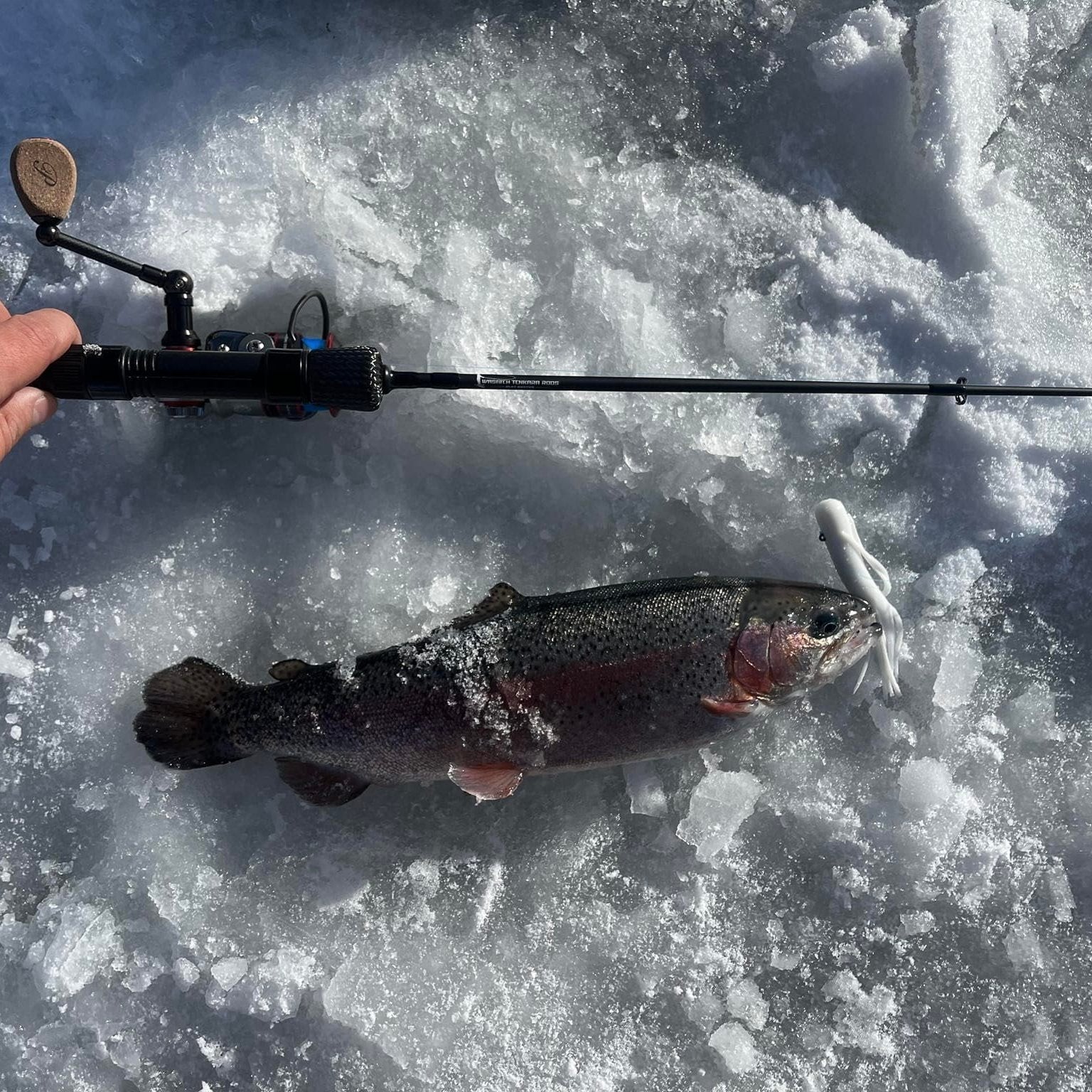 Wasatch Tenkara Slot Buster 34" Heavy/Fast Action Ice Fishing Rod Toray Carbon