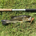 Wasatch Open Waters 24'4" 8:2 Action Tenkara Rod Carbon Fiber 12.5 oz