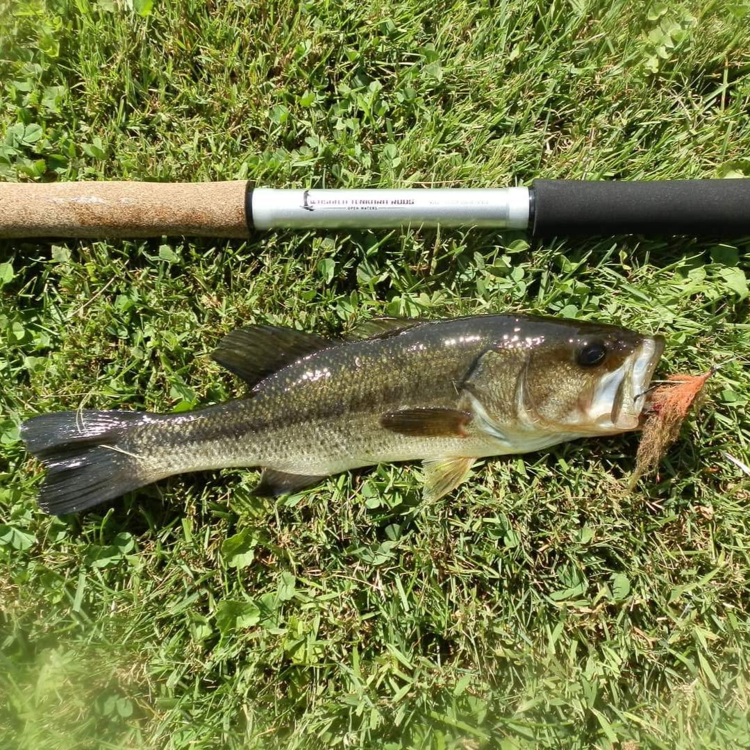 Wasatch Open Waters 24'4" 8:2 Action Tenkara Rod Carbon Fiber 12.5 oz