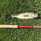 Wasatch Phoenix Rising 20'2" 8:2 Action Tenkara Rod w/ Rod Tube