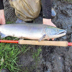 Wasatch Phoenix Rising 20'2" 8:2 Action Tenkara Rod w/ Rod Tube