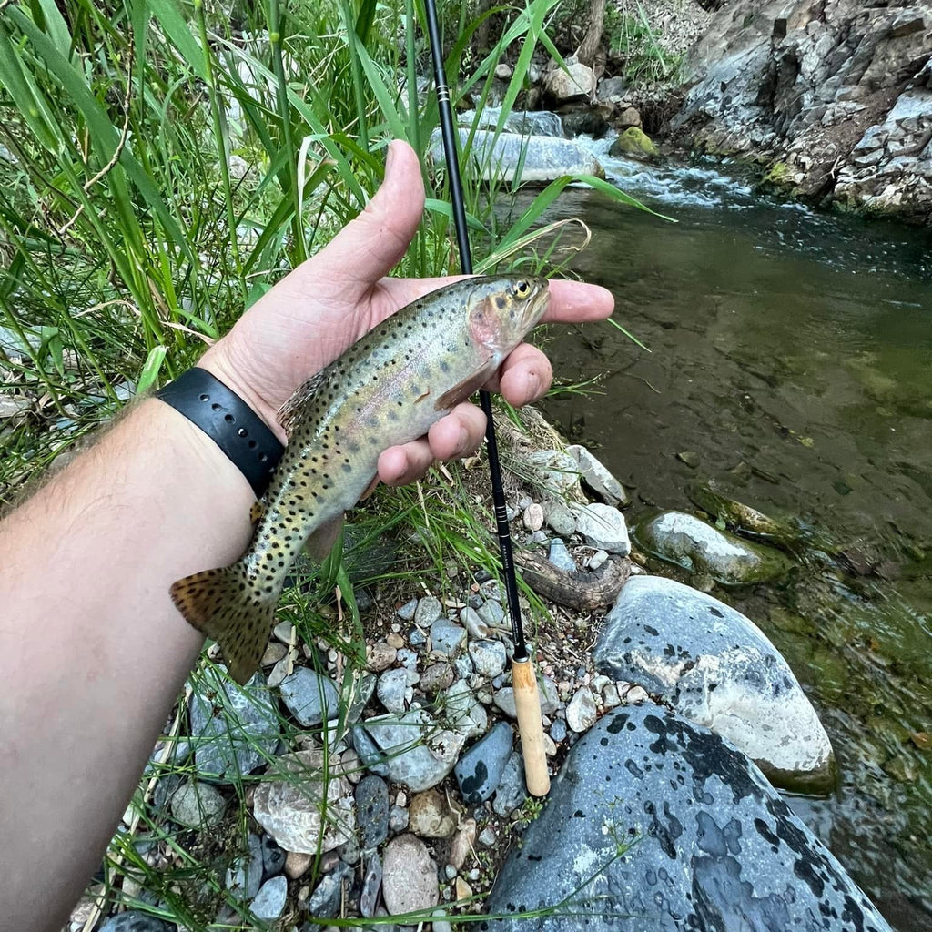 Wasatch Darth Quattro Tenkara Rod 5:5 6:4 Action 1.8 oz Carbon Fiber w/ Rod Tube