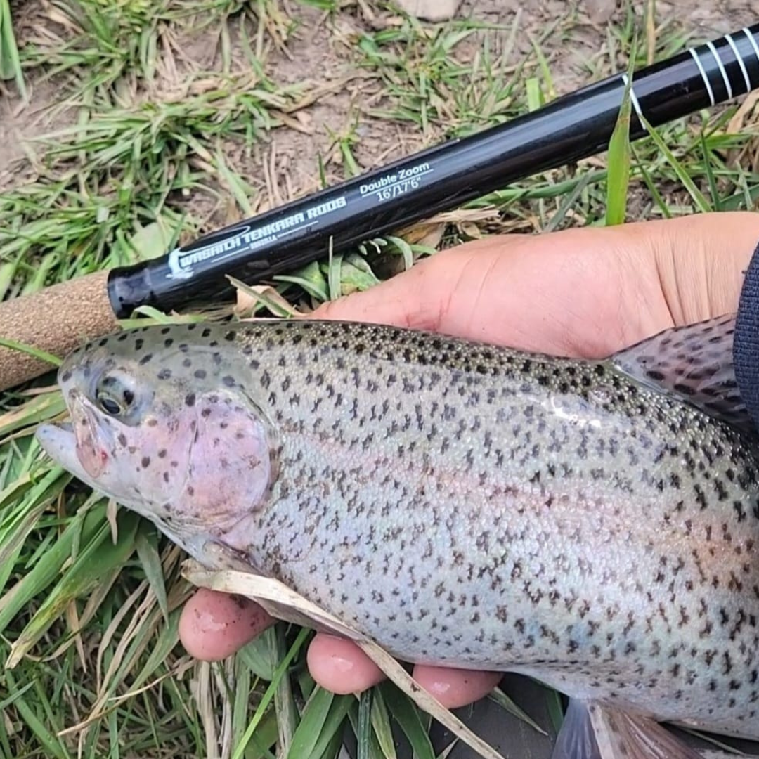Wasatch RodZilla 16'-17'6" Double Zoom 8:2 Action Carbon Tenkara Rod w/ Rod Tube