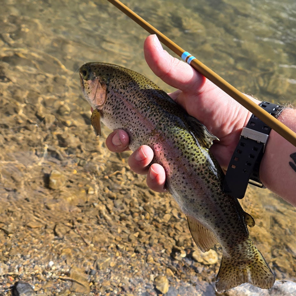 Wasatch Snub Nose IV 4-Zoom Tenkara Rod 4'0"-5'6" Ultra-Compact w/ Rod Tube