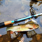 Wasatch Maruki Sharpshooter 6-9ft 2.7oz Tenkara Rod w/ Rod Tube