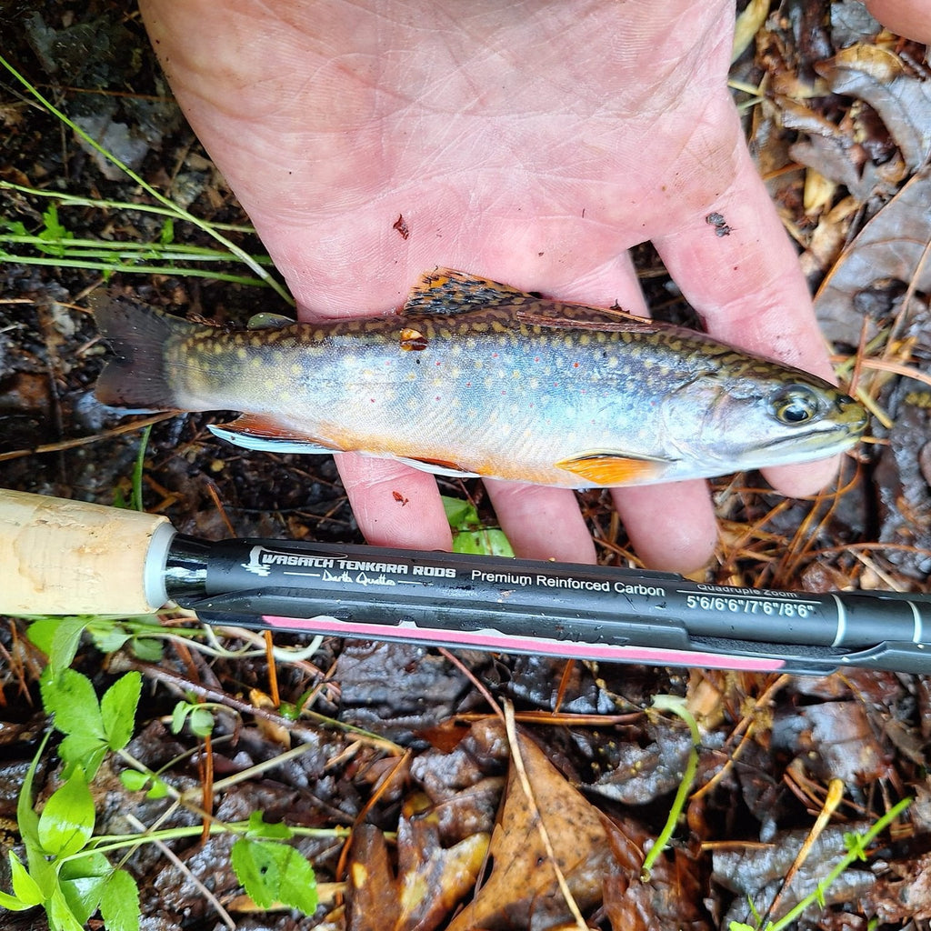 Wasatch Darth Quattro Tenkara Rod 5:5 6:4 Action 1.8 oz Carbon Fiber w/ Rod Tube