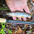 Wasatch Darth Quattro Tenkara Rod 5:5 6:4 Action 1.8 oz Carbon Fiber w/ Rod Tube