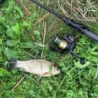 Wasatch Tenkara Command Force 6'6" Fast Action Carbon Telescopic Spinning Rod