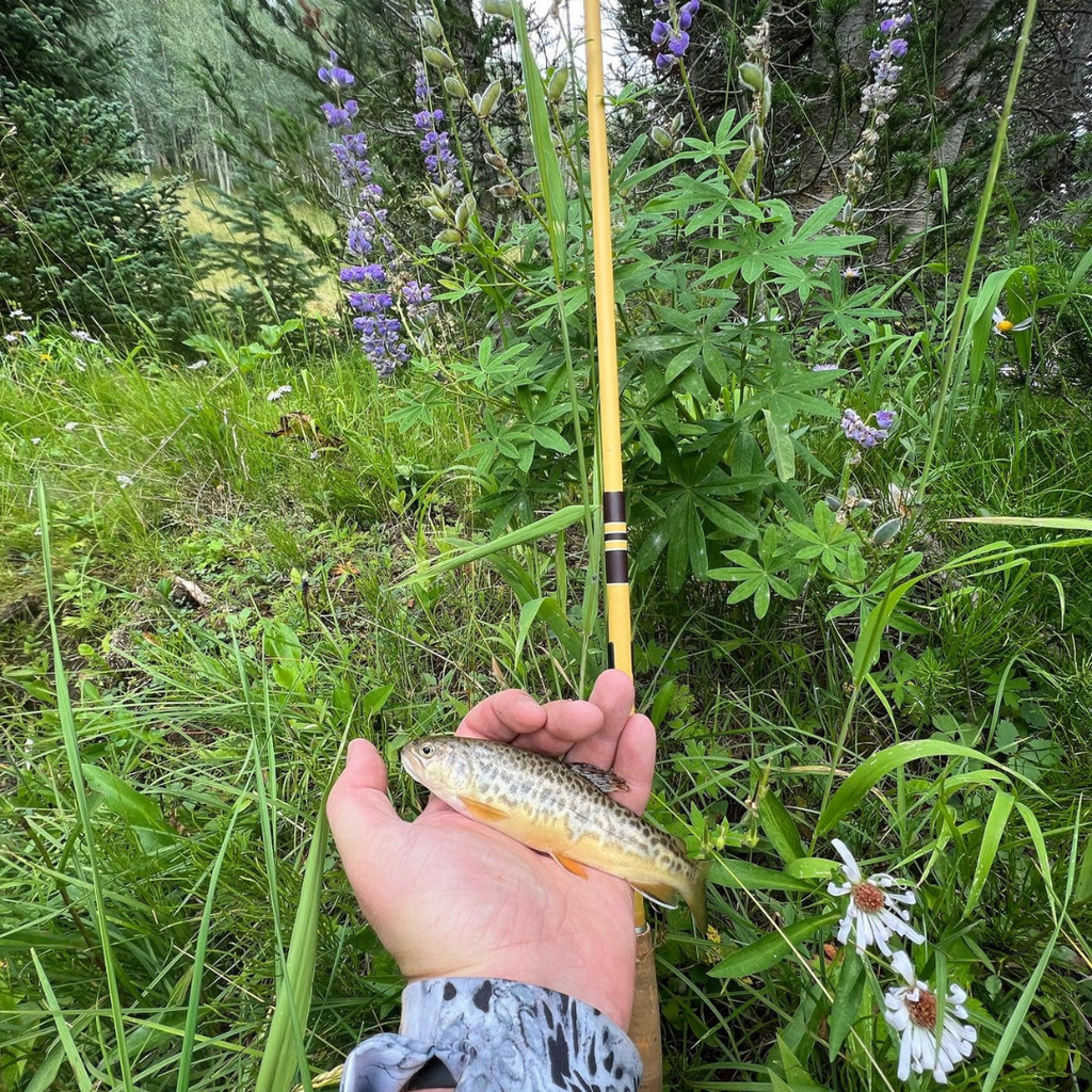 Wasatch Hankyu Middle Fork 9'-12' Tenkara Rod Carbon Fiber w/ Rod Tube 6.6 oz
