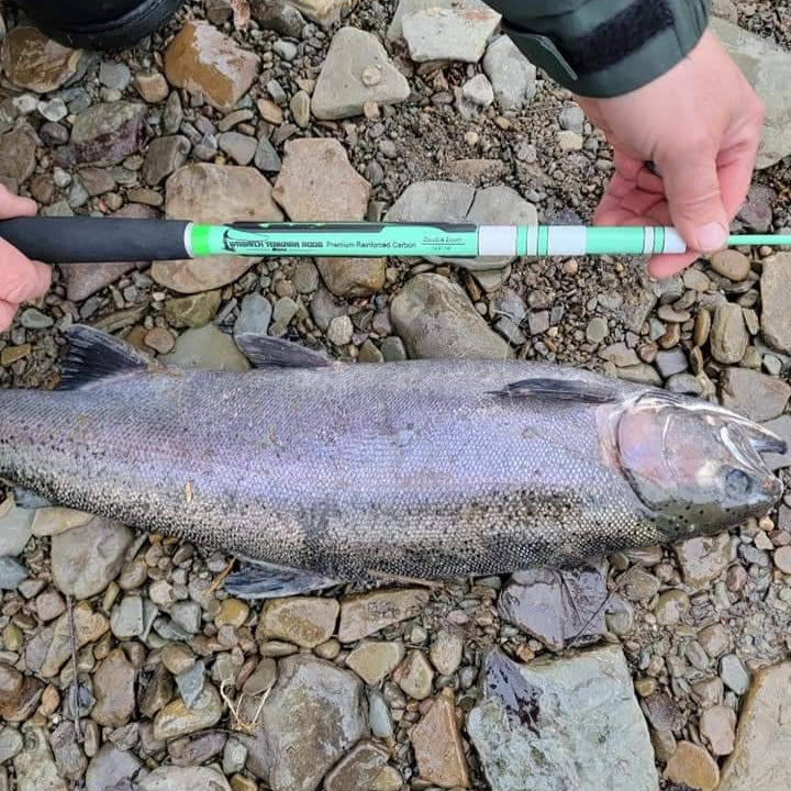 Wasatch Siyco 14'6"-16' Glow-in-Dark 8:2 Action Tenkara Rod 6.3 oz w/ Rod Tube