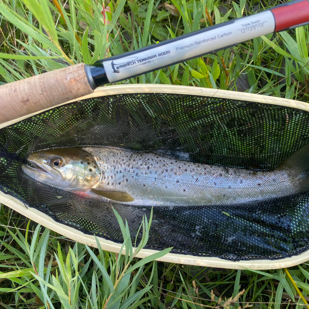 Wasatch Daikyu T-Hunter 12-15ft 4.7oz Tenkara Rod 7:3 Action w/ Rod Tube