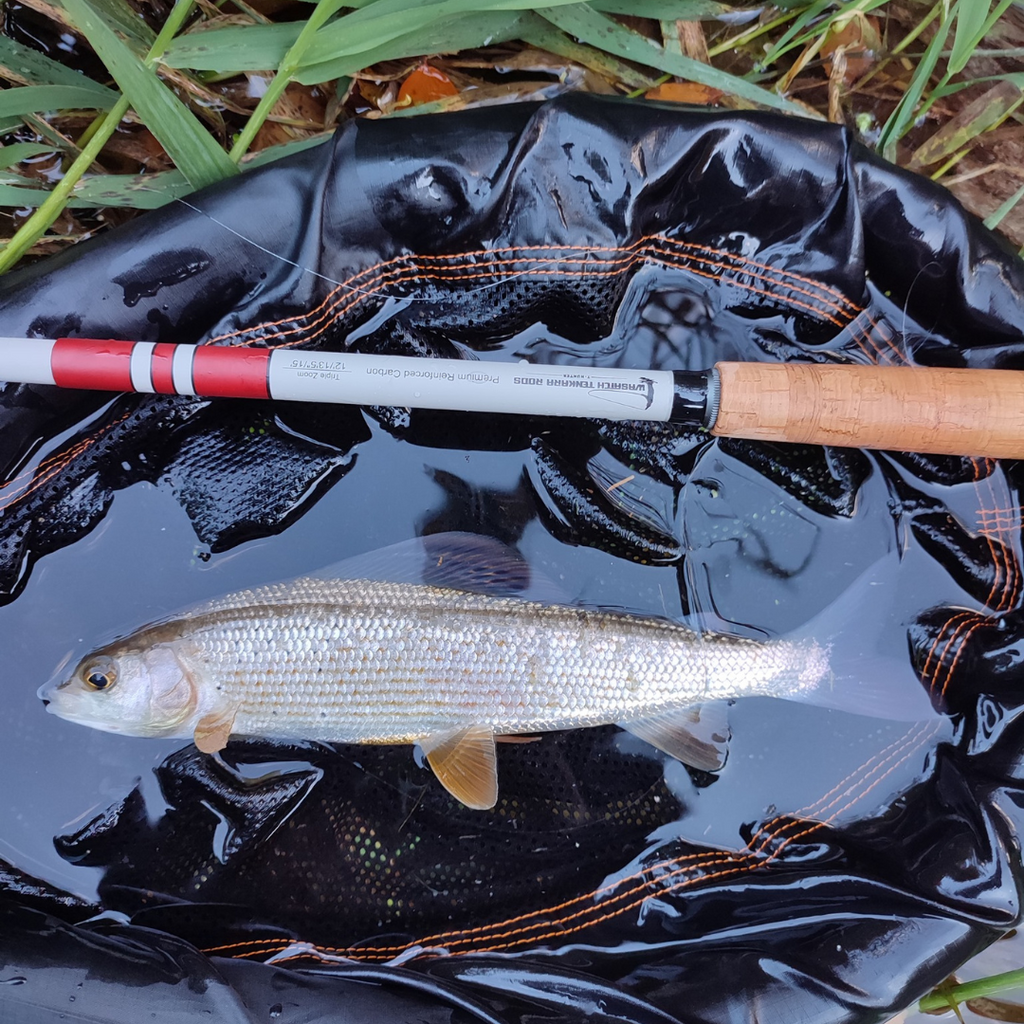 Wasatch Daikyu T-Hunter 12-15ft 4.7oz Tenkara Rod 7:3 Action w/ Rod Tube