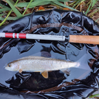 Wasatch Daikyu T-Hunter 12-15ft 4.7oz Tenkara Rod 7:3 Action w/ Rod Tube