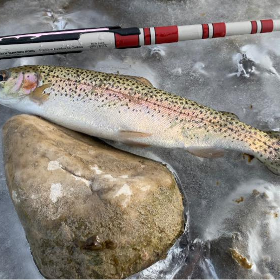 Wasatch Daikyu T-Hunter 12-15ft 4.7oz Tenkara Rod 7:3 Action w/ Rod Tube