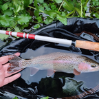 Wasatch Daikyu T-Hunter 12-15ft 4.7oz Tenkara Rod 7:3 Action w/ Rod Tube