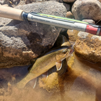 Wasatch Daikyu T-Hunter 12-15ft 4.7oz Tenkara Rod 7:3 Action w/ Rod Tube