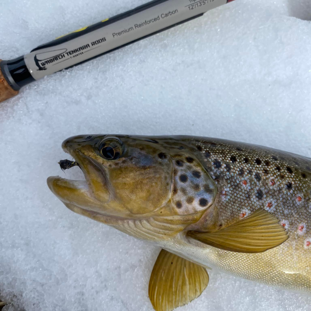 Wasatch Daikyu T-Hunter 12-15ft 4.7oz Tenkara Rod 7:3 Action w/ Rod Tube