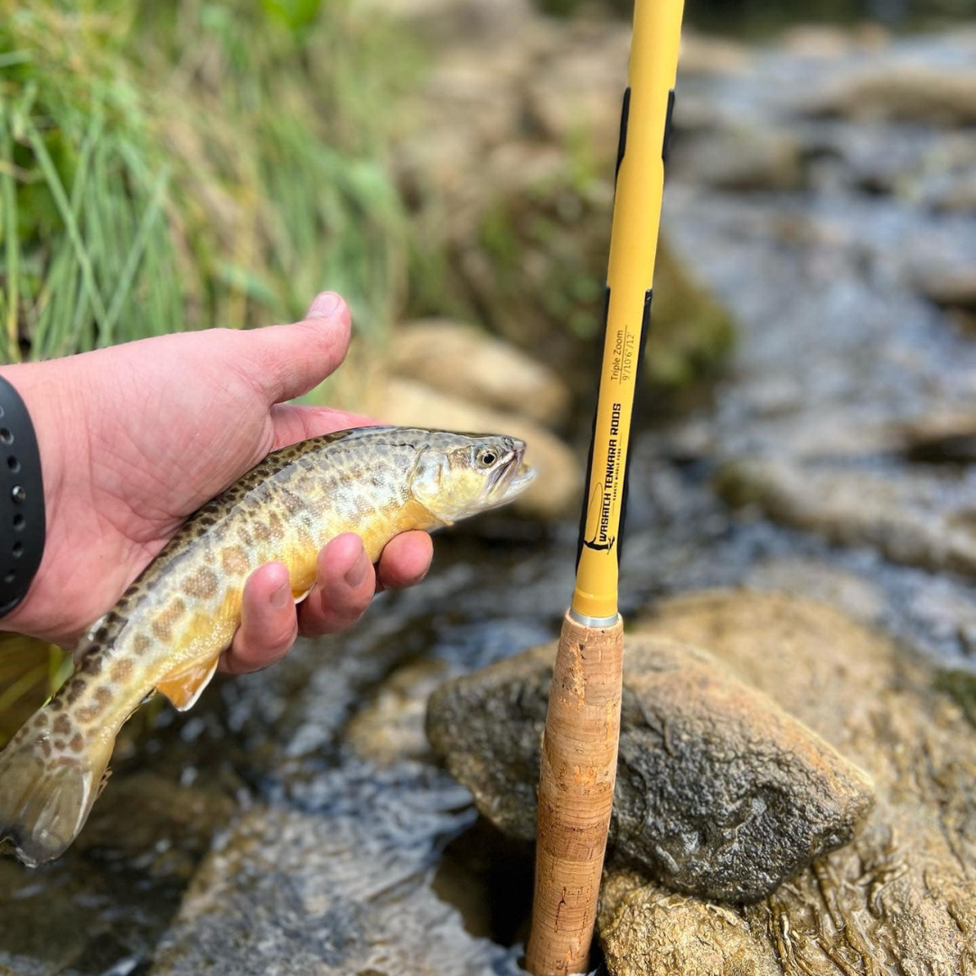 Wasatch Hankyu Middle Fork 9'-12' Tenkara Rod Carbon Fiber w/ Rod Tube 6.6 oz