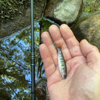 Wasatch Darth Quattro Tenkara Rod 5:5 6:4 Action 1.8 oz Carbon Fiber w/ Rod Tube