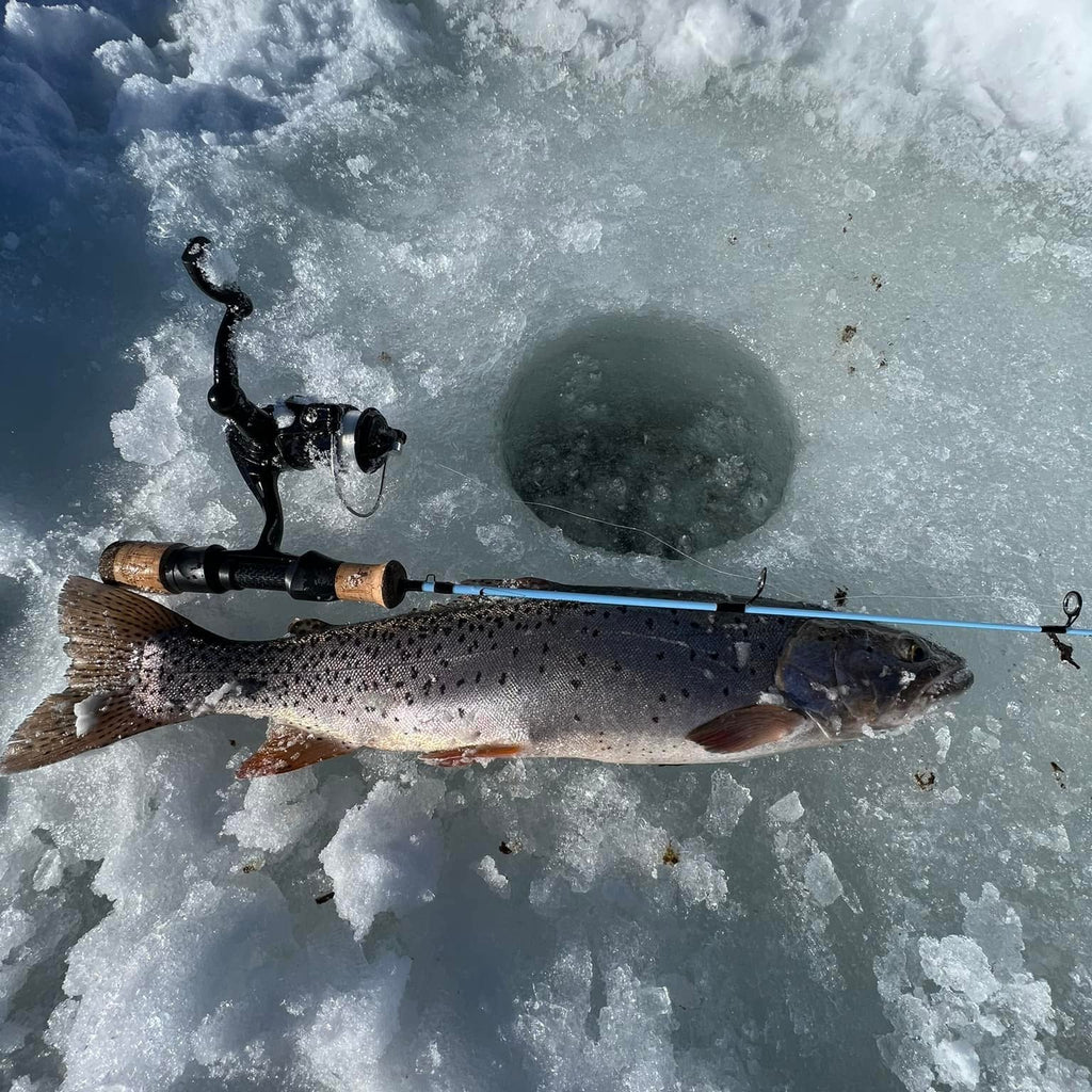 Wasatch Winterhawk 28" Medium Action Japanese Toray Carbon Ice Rod