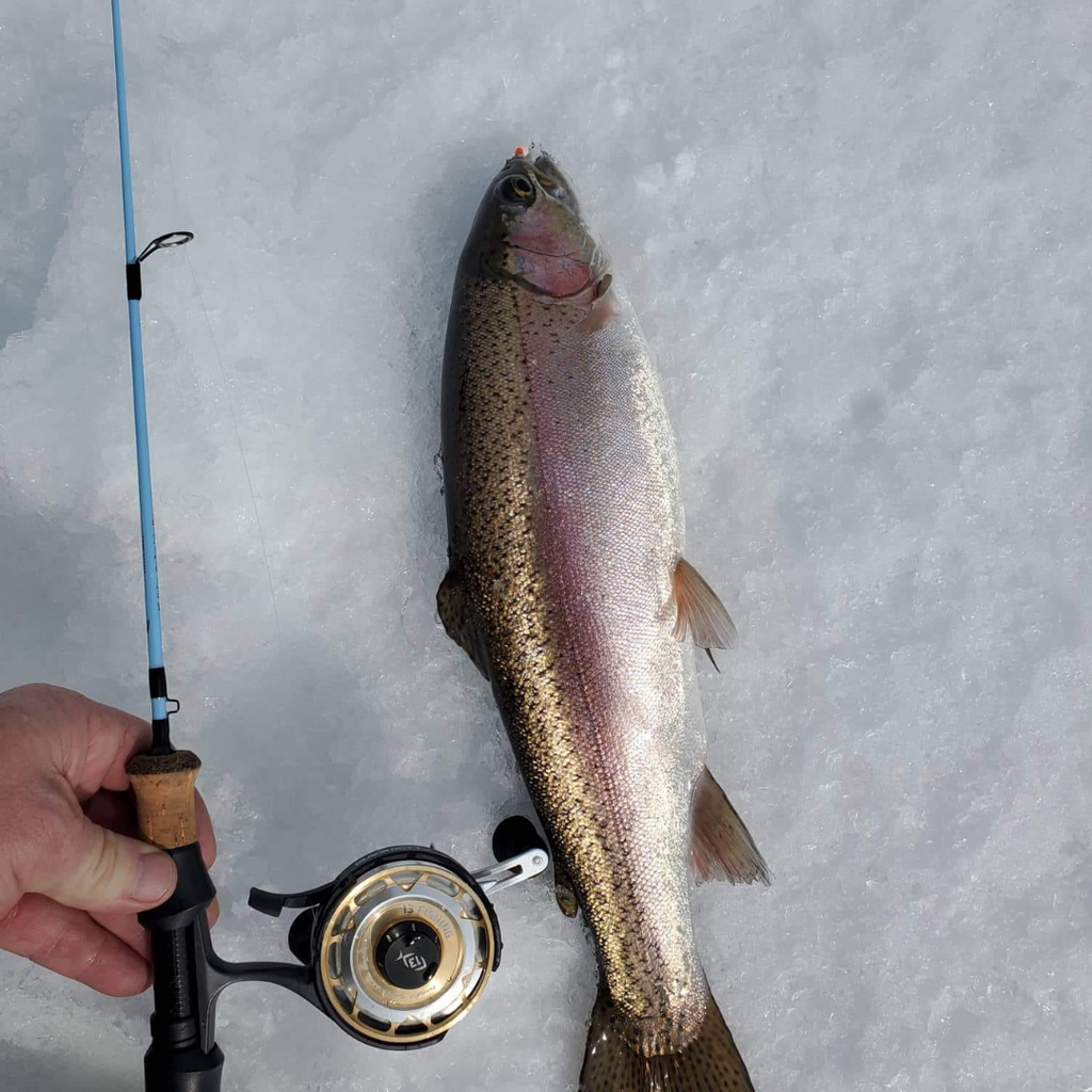 Wasatch Winterhawk 28" Medium Action Japanese Toray Carbon Ice Rod