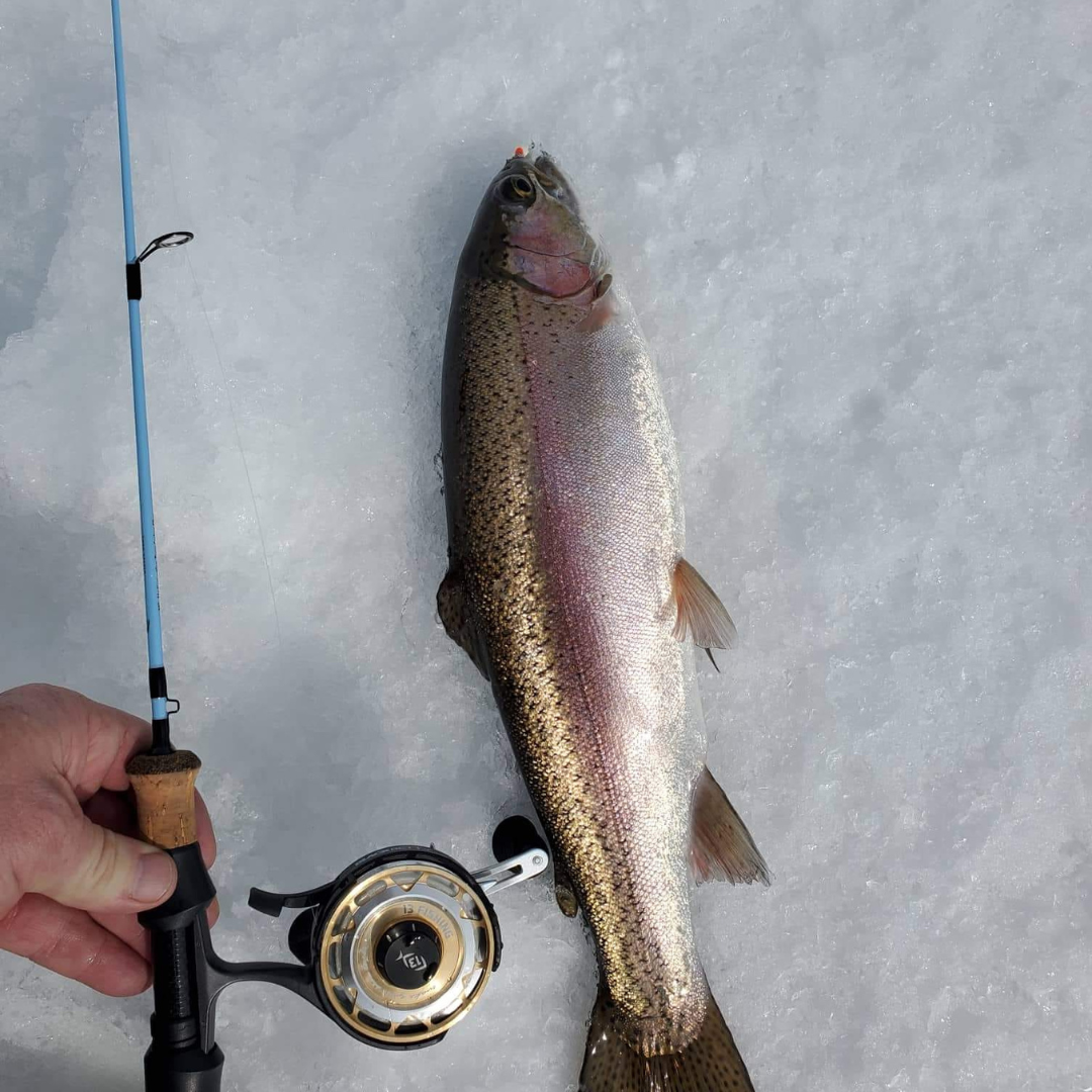 Wasatch Winterhawk 28" Medium Action Japanese Toray Carbon Ice Rod