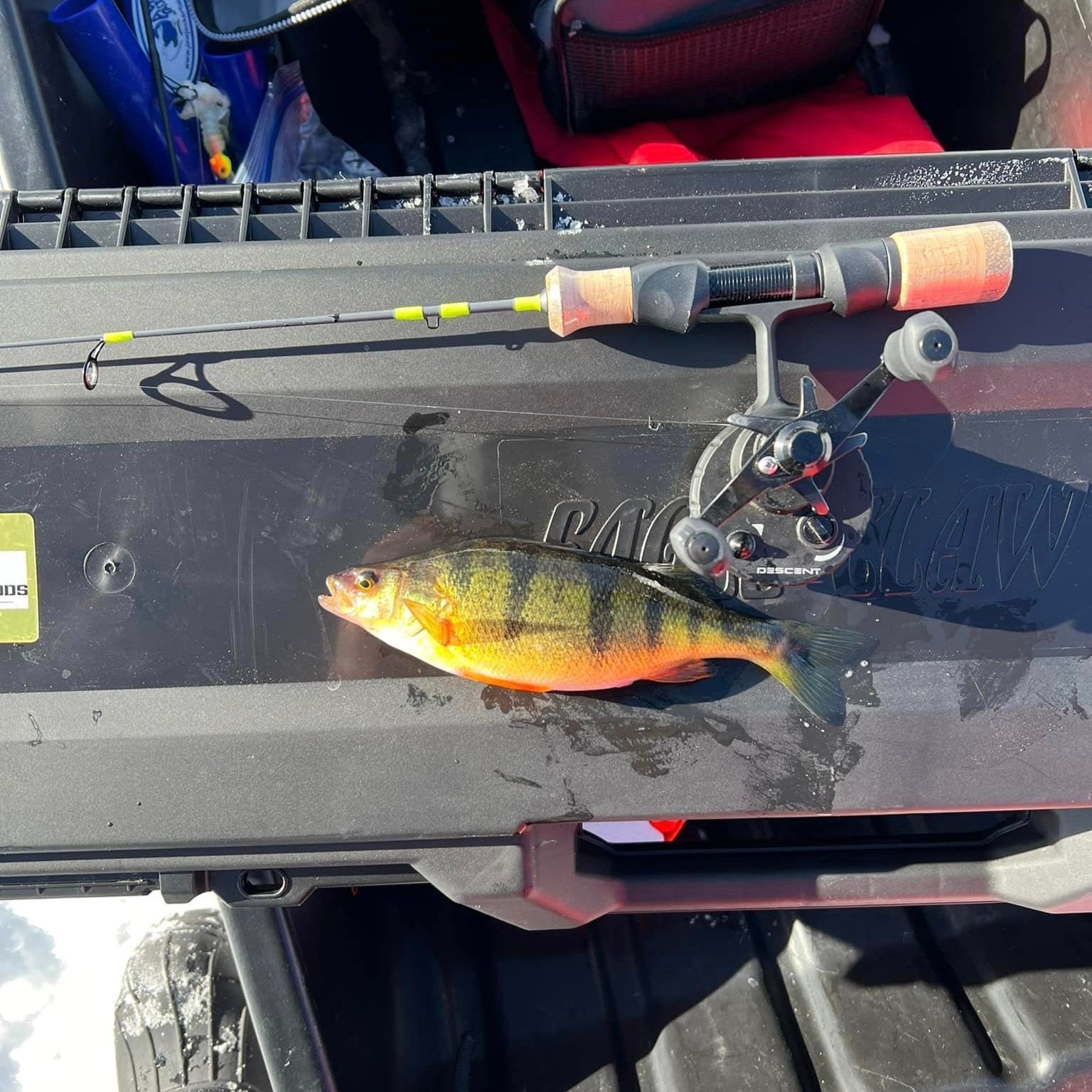 Wasatch Ice Breaker 22" Medium/Light Action Toray Carbon Fiber Tenkara Rod