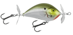 Bagley Twinspin Dual Prop Buzzbait Grass Flat Shallow Cover Bass