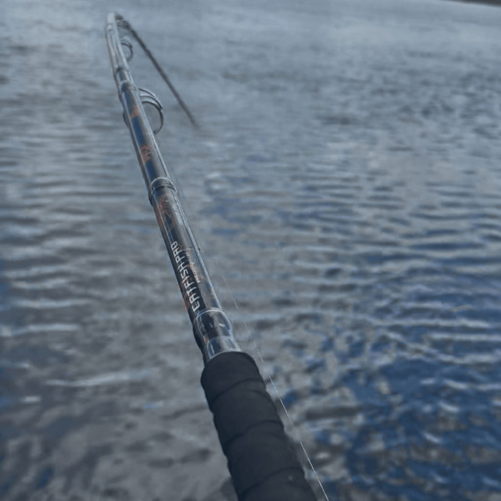 Catfish Pro Black Dragon Fire 7'6" Glow Casting Rod