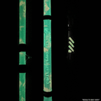 Catfish Pro Black Dragon Fire 7'6" Glow-in-the-Dark Spinning Rod