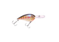 Bruiser Cruiser Shallow Crankbait Rounded Bill Okeechobee Bass Lure